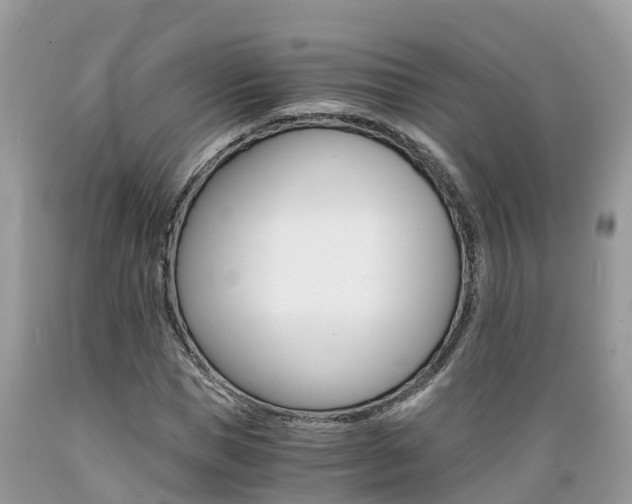 X0000089670921200706210749