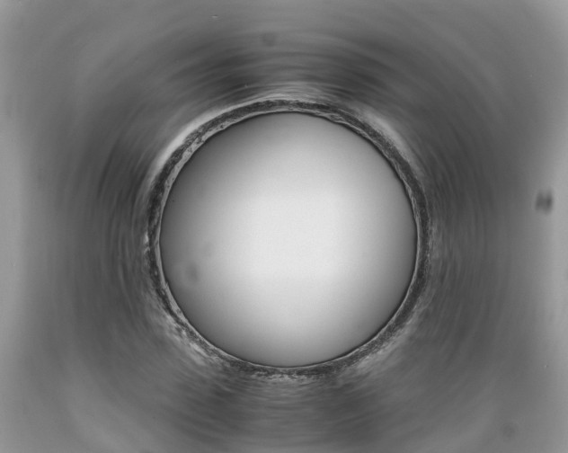 X0000089670923200706210750