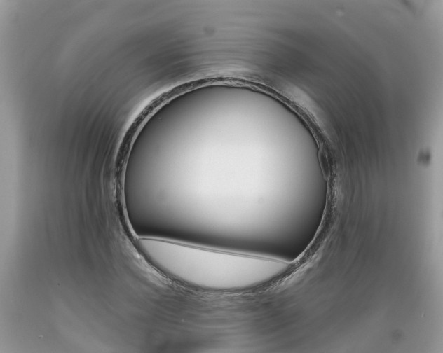 X0000089670924200706210750