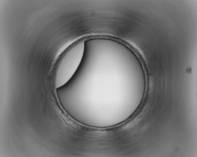 X0000089670925200706210750