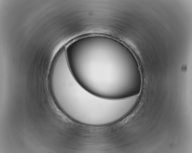 X0000089670928200706210750