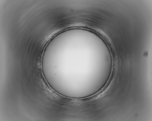 X0000089670929200706210750