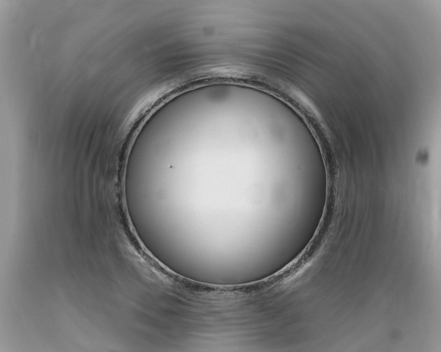 X0000089670930200706210750
