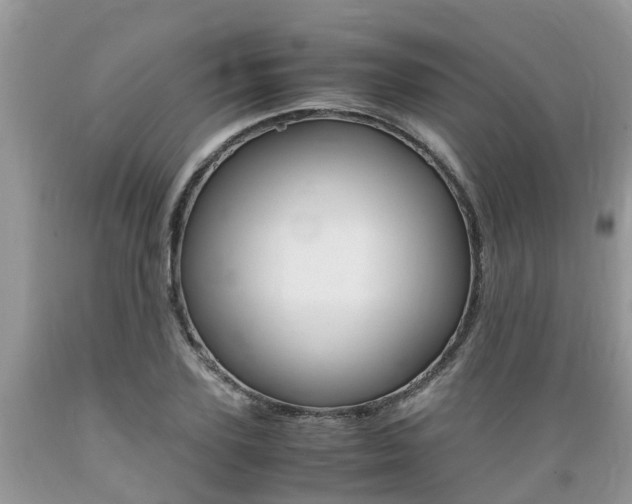 X0000089670931200706210750