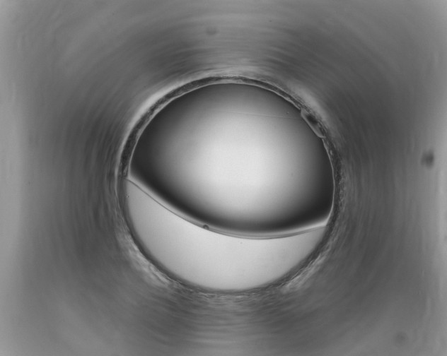 X0000089670932200706210750