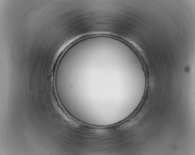 X0000089670933200706210750