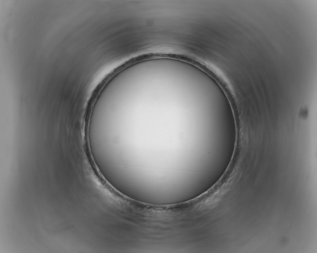 X0000089670935200706210750