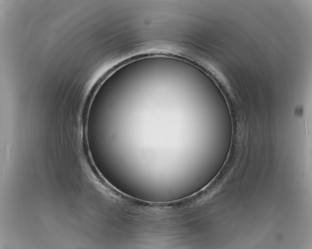 X0000089670936200706210750