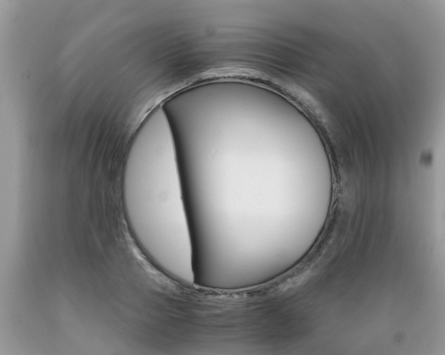 X0000089670937200706210750