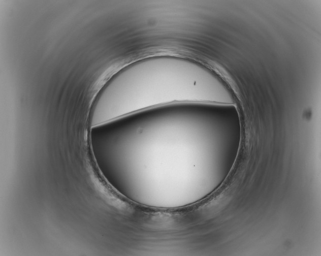 X0000089670938200706210750