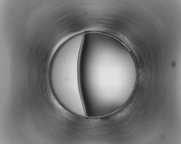 X0000089670939200706210750
