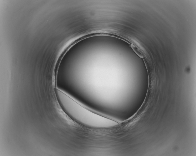 X0000089670940200706210750