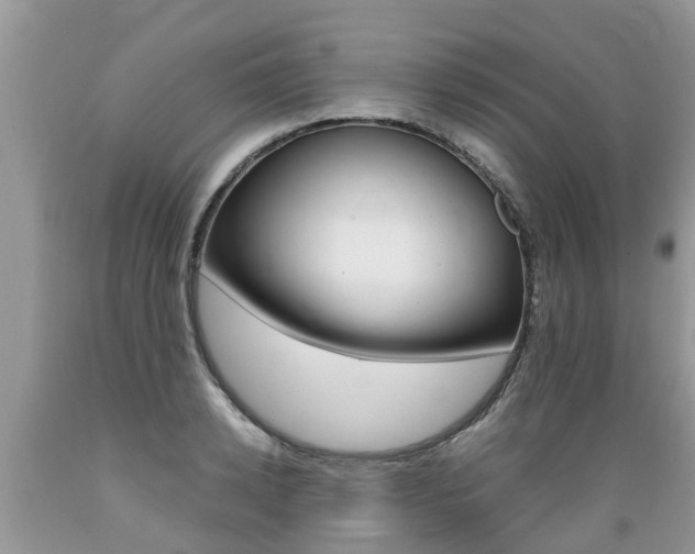 X0000089670942200706210750