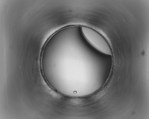 X0000089670943200706210750