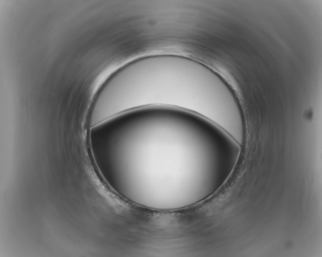 X0000089670944200706210750