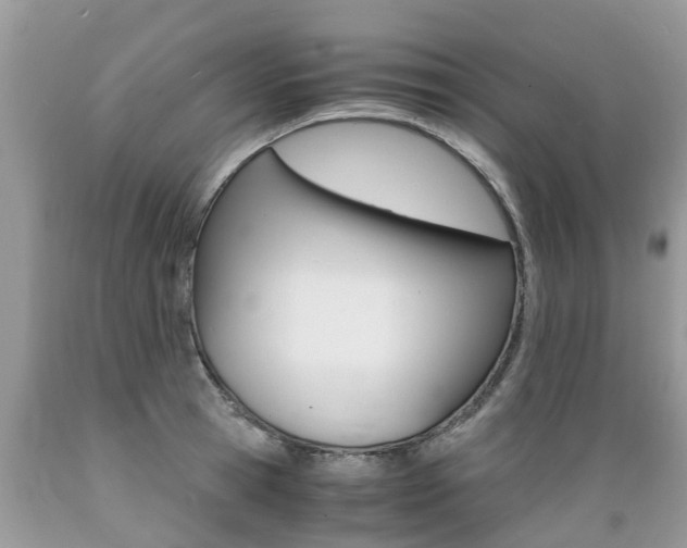 X0000089670945200706210750
