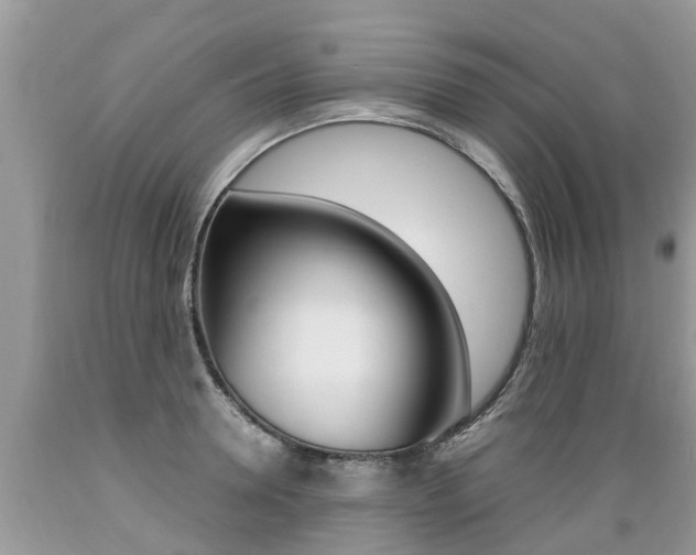 X0000089670946200706210750