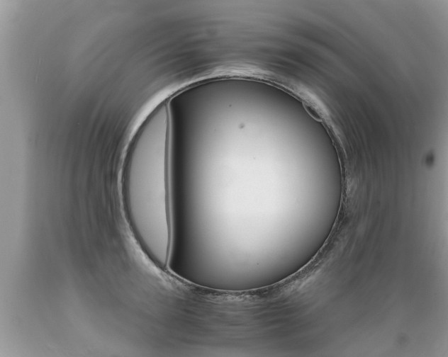 X0000089670947200706210750