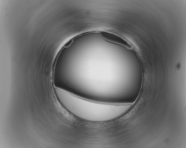X0000089670948200706210750