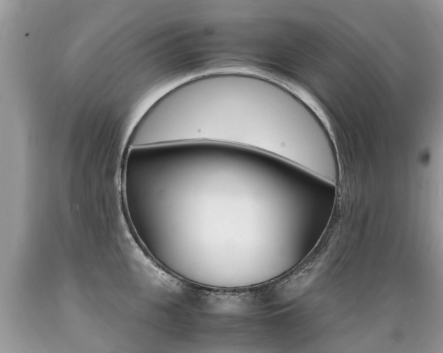 X0000089670951200706210750