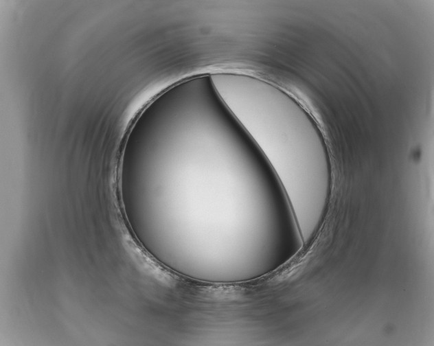 X0000089670952200706210750