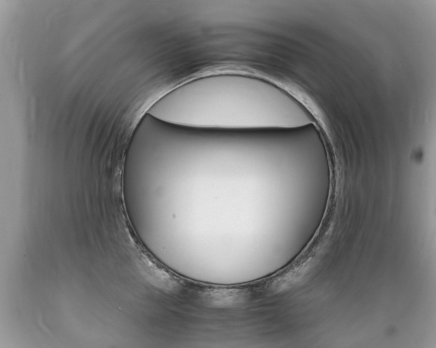 X0000089670953200706210750