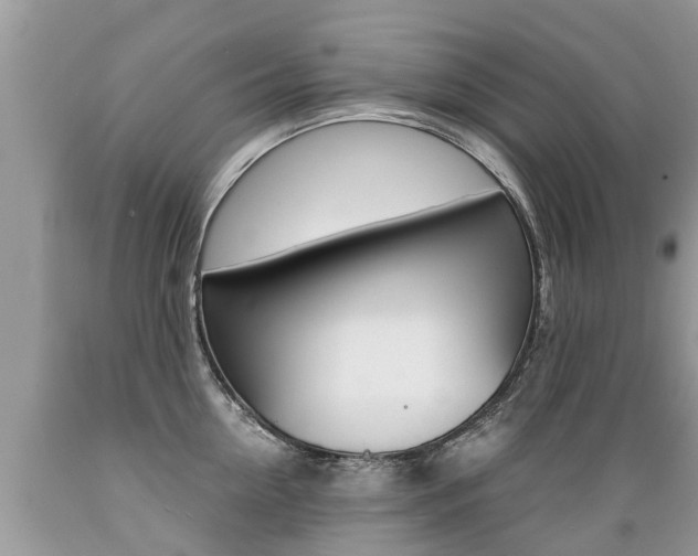 X0000089670954200706210750