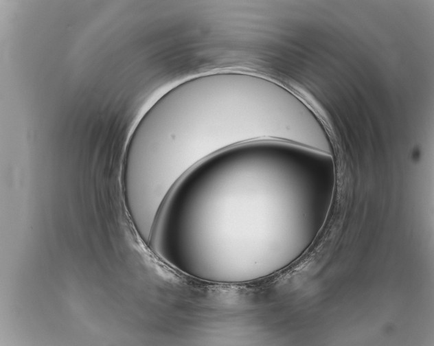 X0000089670956200706210750