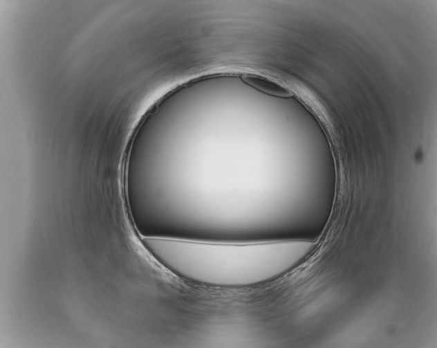 X0000089670958200706210750
