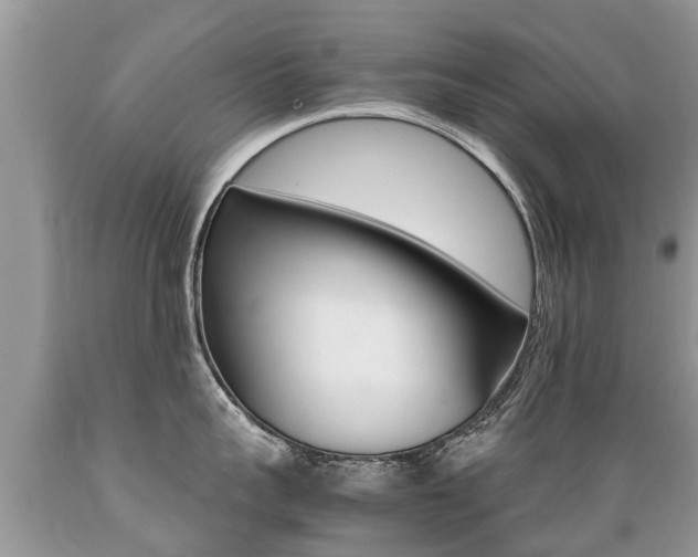 X0000089670959200706210750