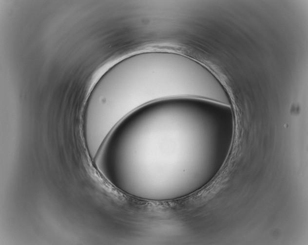 X0000089670960200706210750