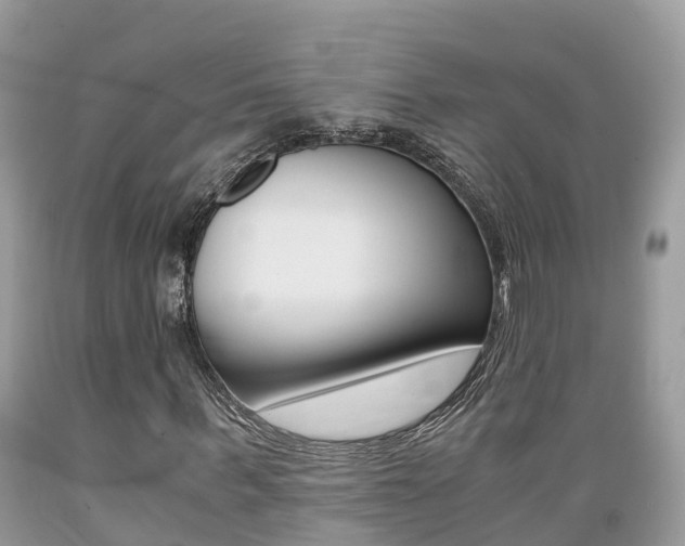 X0000089670963200706210749