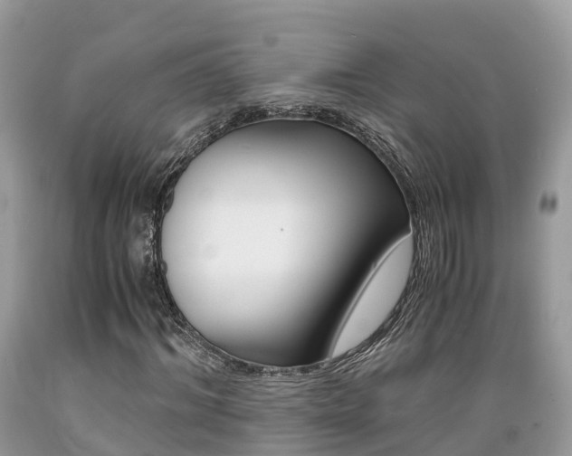 X0000089670964200706210749