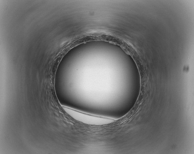 X0000089670965200706210749