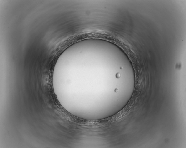 X0000089670966200706210749
