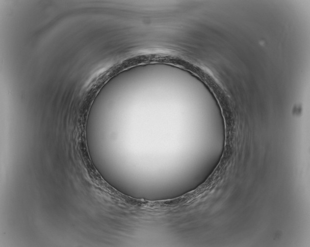 X0000089670967200706210749