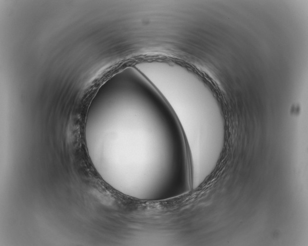 X0000089670968200706210749