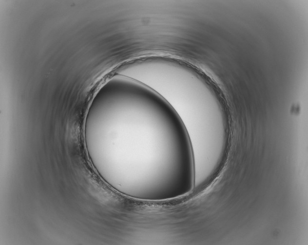 X0000089670969200706210749