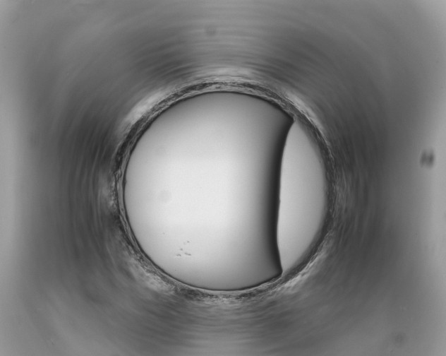 X0000089670970200706210749