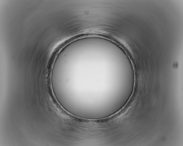 X0000089670971200706210749