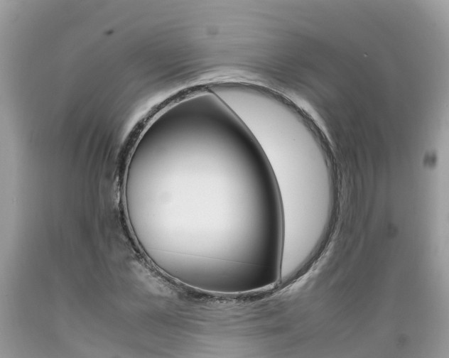 X0000089670973200706210749