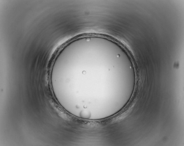 X0000089670974200706210749