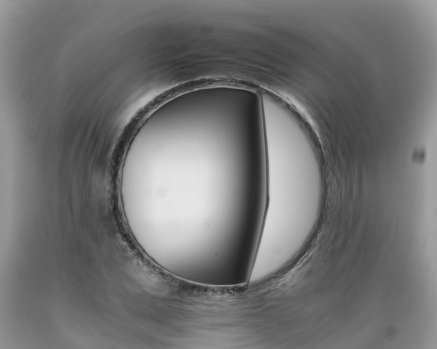 X0000089670975200706210749