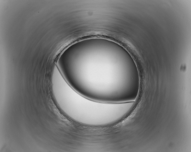 X0000089670977200706210749