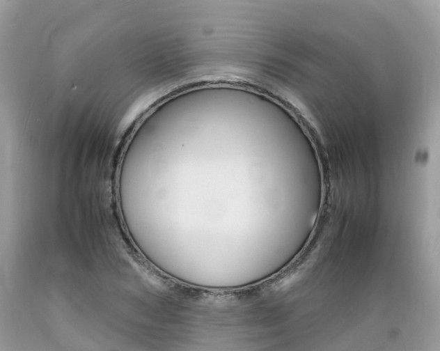X0000089670978200706210749
