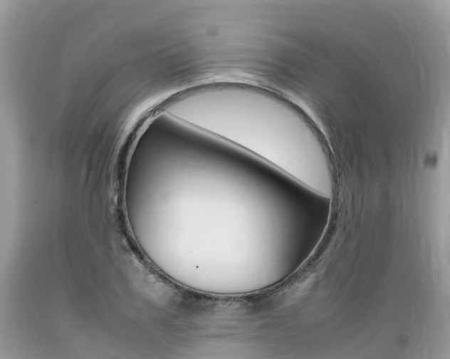 X0000089670979200706210749