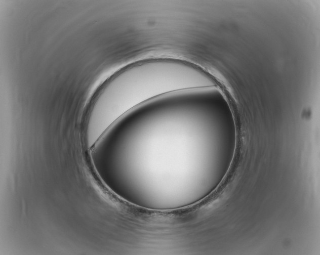 X0000089670981200706210749