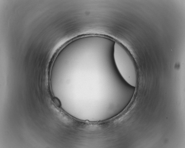 X0000089670982200706210749