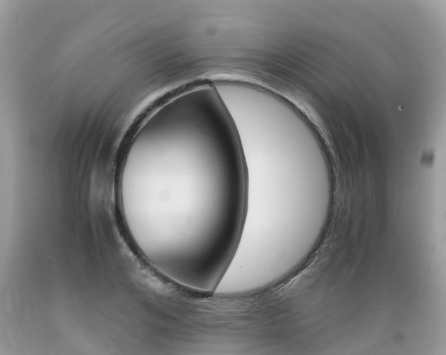 X0000089670984200706210749