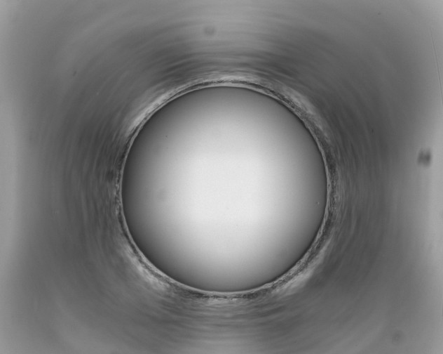 X0000089670985200706210749